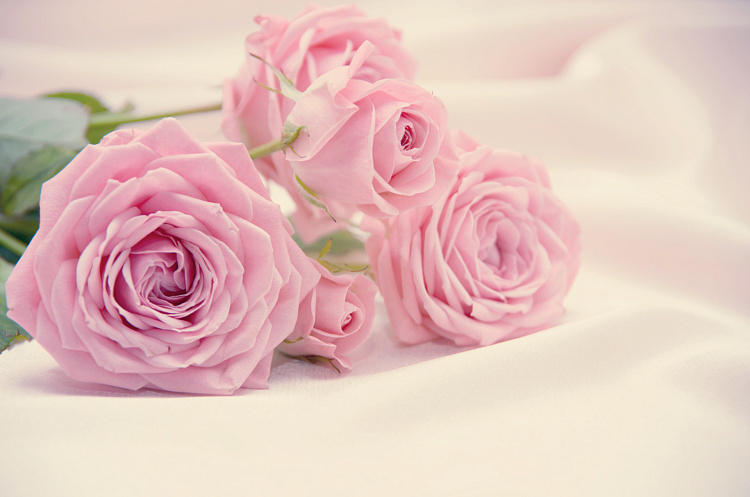 Фотообои 103733002