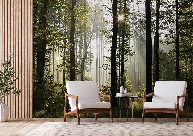 Фотообои 67959304