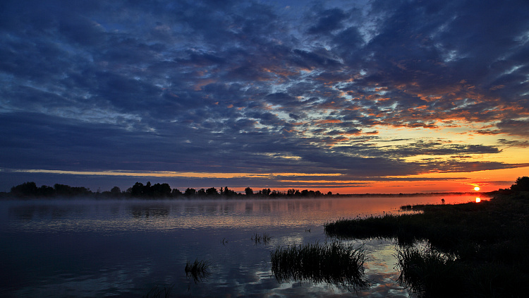 Фотообои IP2A4066