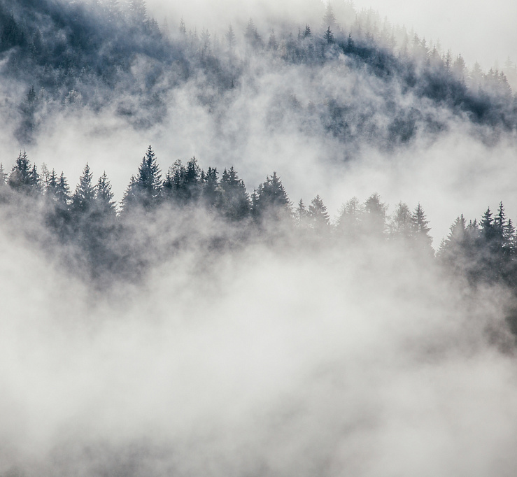 Фотообои 24002600