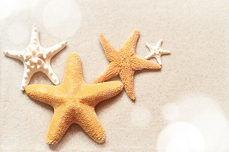 Фотообои 82689745