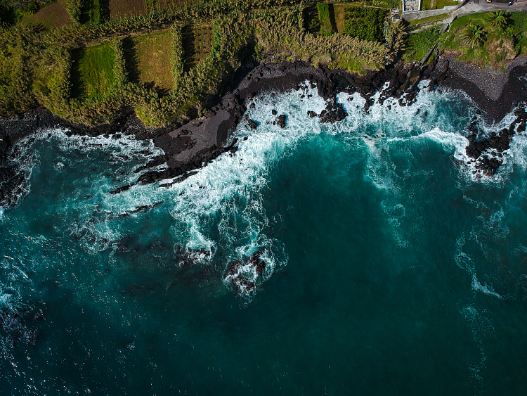 Фотообои 1208608408