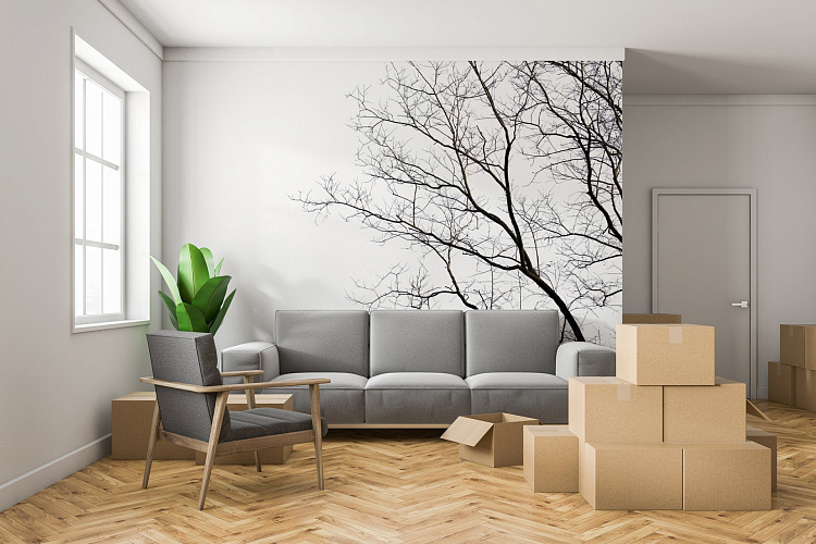 Фотообои 139581625