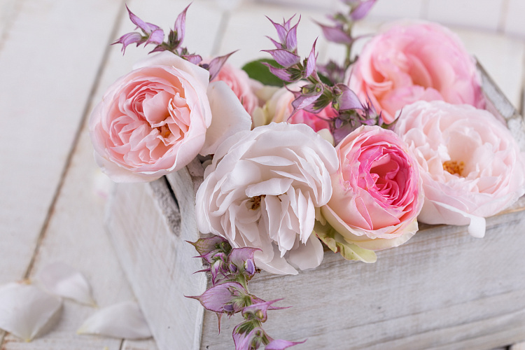 Фотообои 71039521