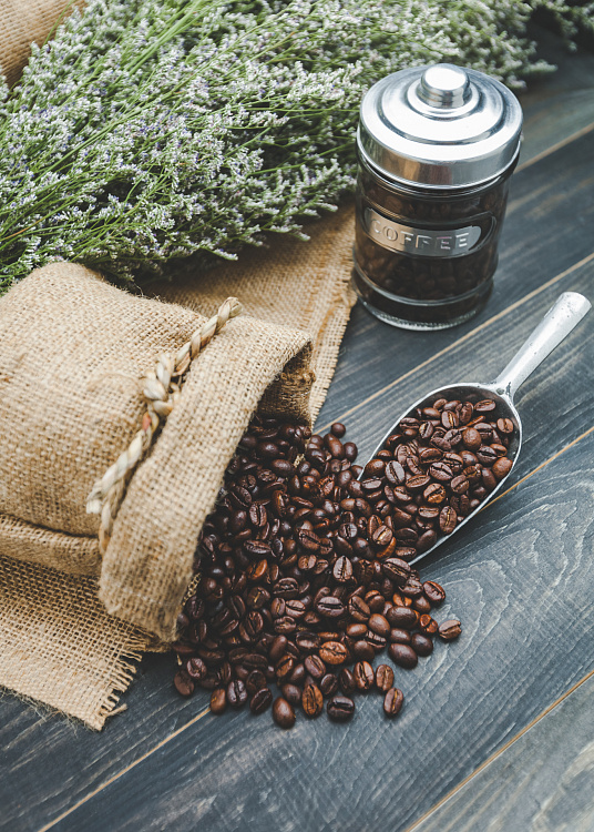 Фотообои 132623717