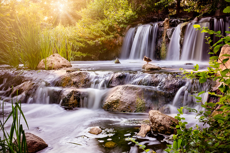 Фотообои 104331347