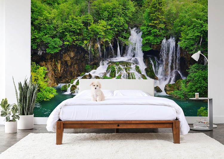 Фотообои 85137892