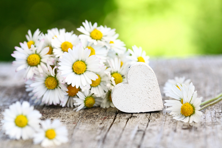 Фотообои 68135144