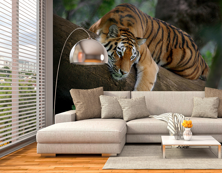 Фотообои 4289086