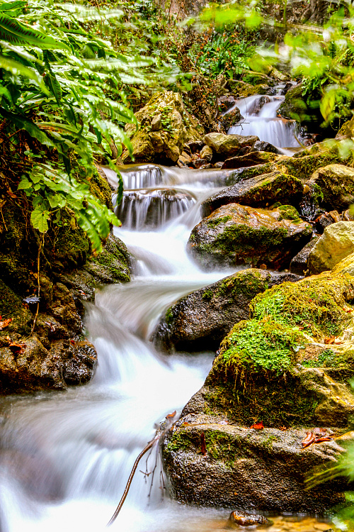 Фотообои 66049984