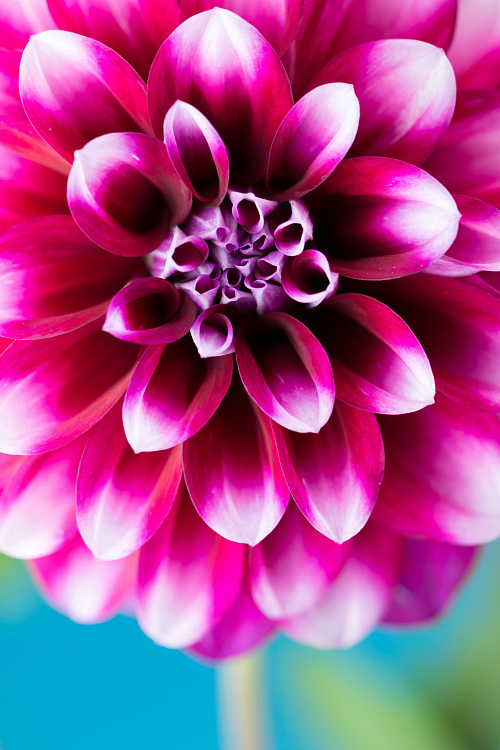 Фотообои 84645841