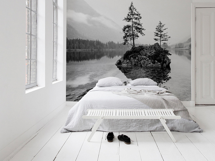 Фотообои 294852182