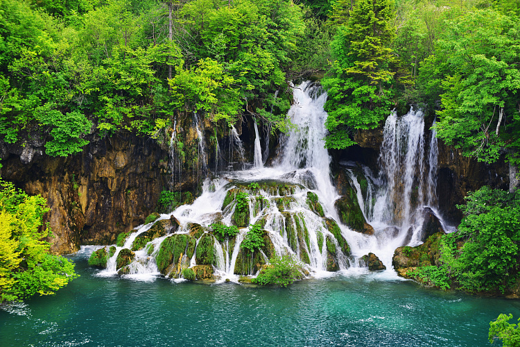 Фотообои 85137892