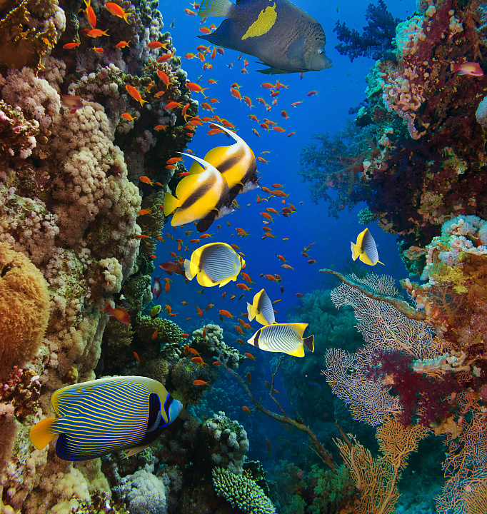 Фотообои 60672607