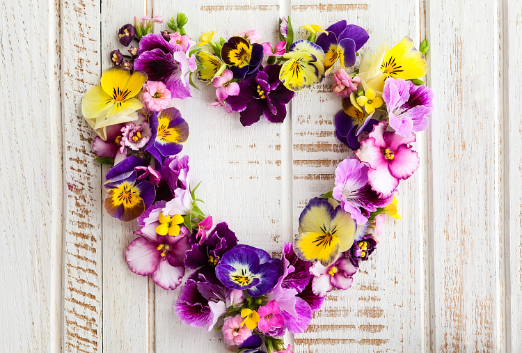 Фотообои 81719131