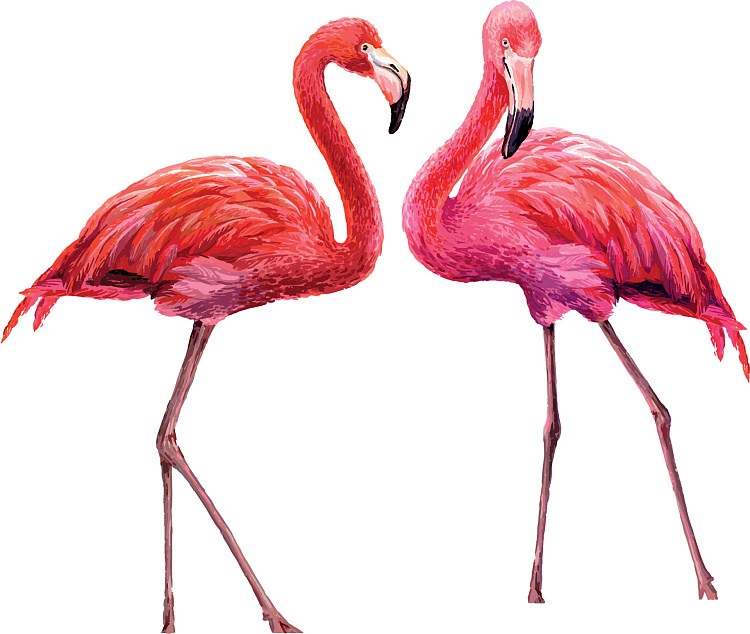 Фотообои 96395799