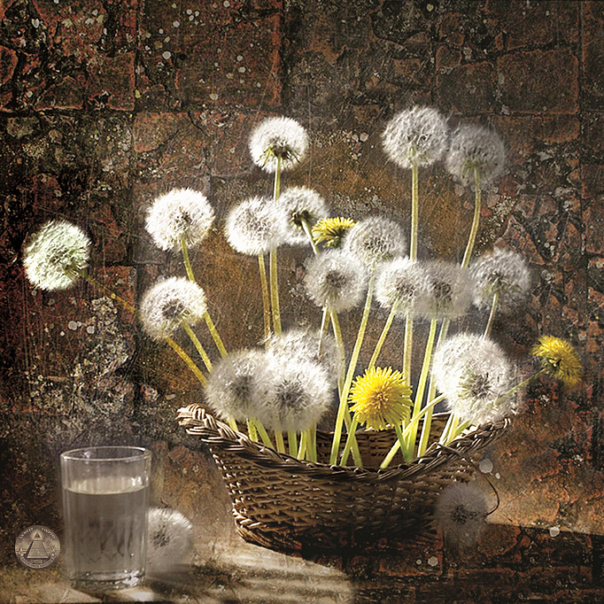 Фотообои 9736358025