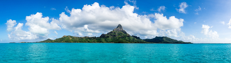 Фотообои 112153275