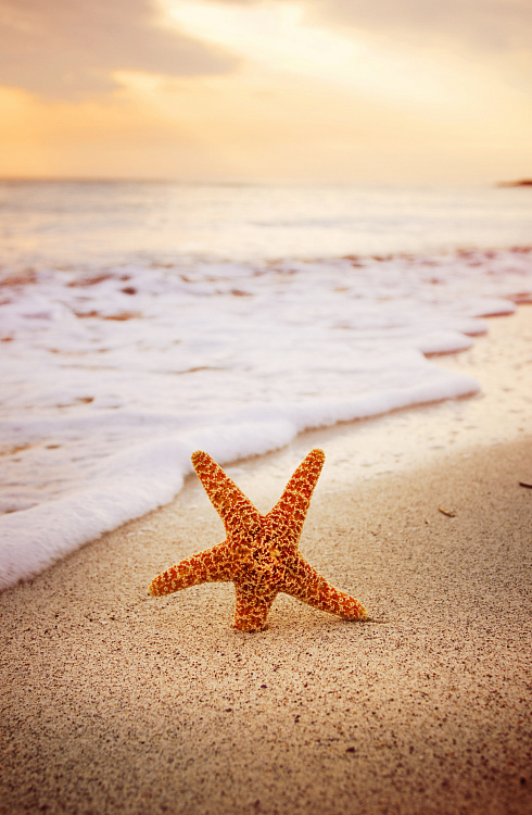 Фотообои 54404702