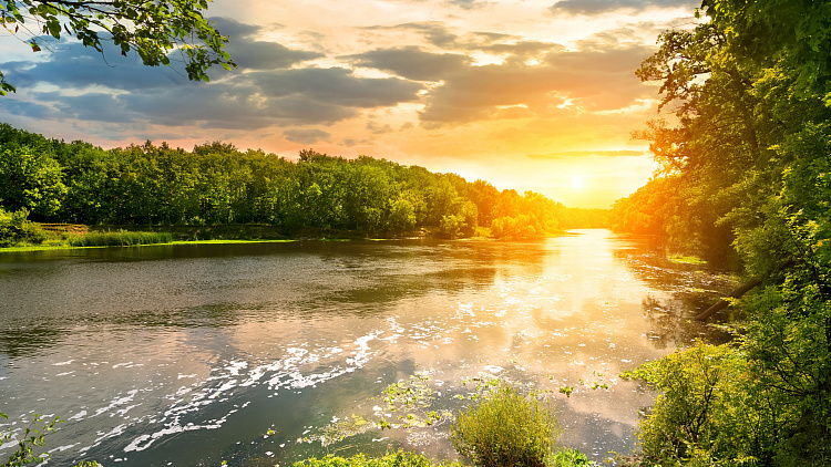 Фотообои 310112