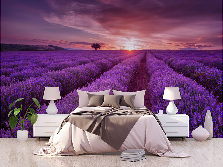 Фотообои 256975449