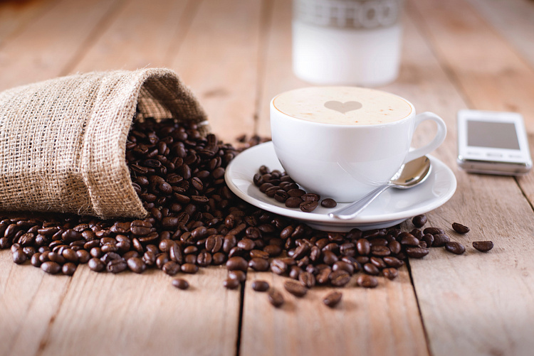 Фотообои 175598775