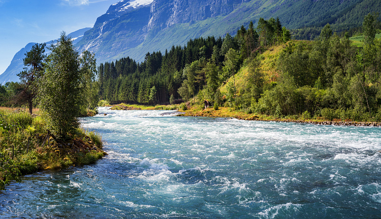 Фотообои 104876487