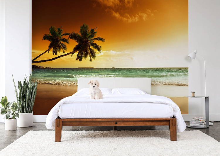 Фотообои 62620568