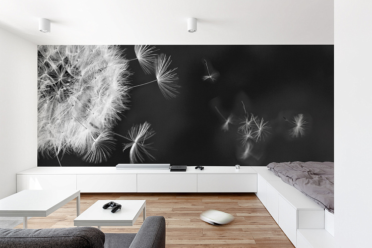 Фотообои 1624985791