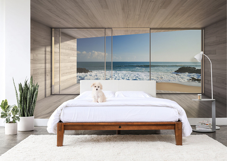 Фотообои 74477865