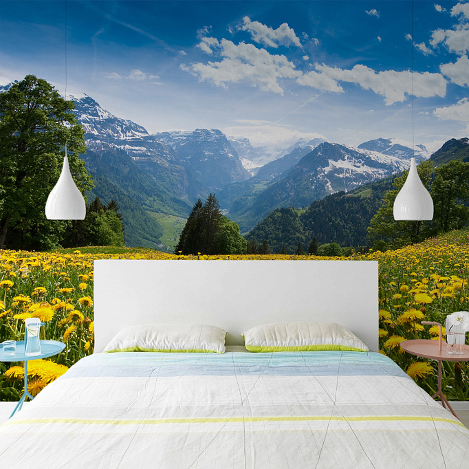 Фотообои 31053421