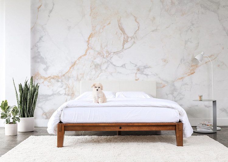 Фотообои 497718805