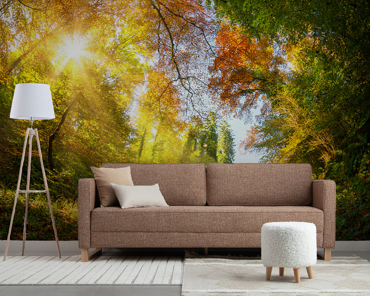 Фотообои 218824432