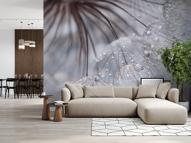 Фотообои 162809263