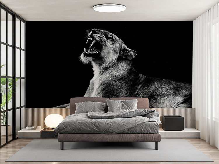 Фотообои BLX_Visual_03