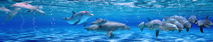 Фотообои 123126284