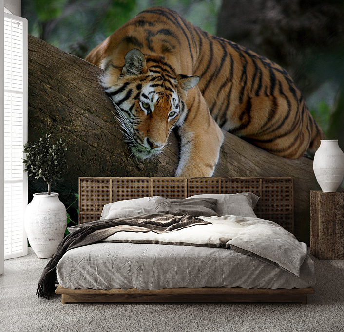 Фотообои 4289086