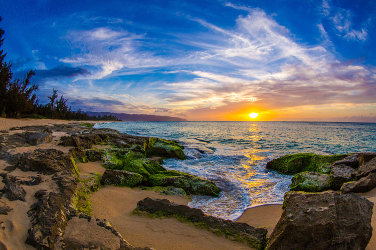 Фотообои 131129777