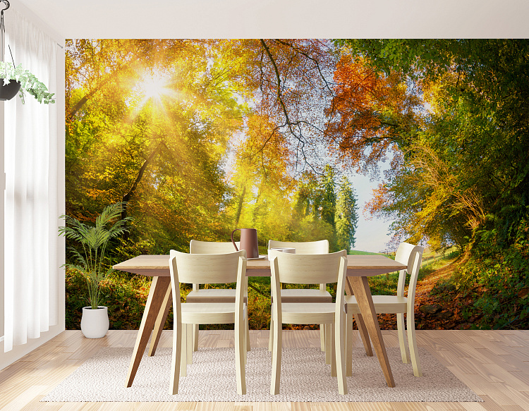 Фотообои 218824432