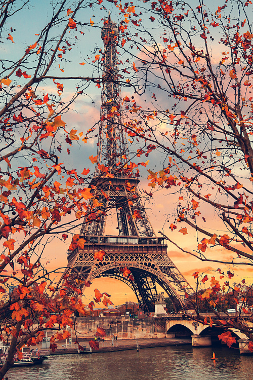 Фотообои 120105347