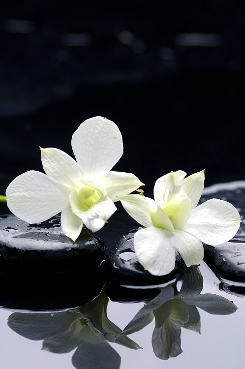 Фотообои 32251393