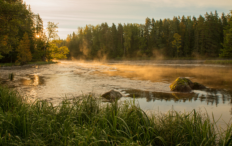 Фотообои 94553223