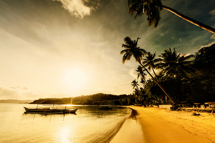 Фотообои 90519144