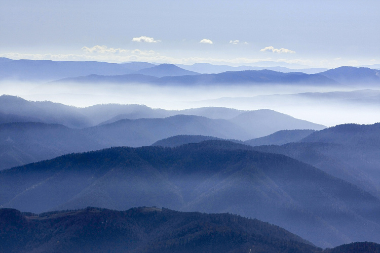 Фотообои 532631518