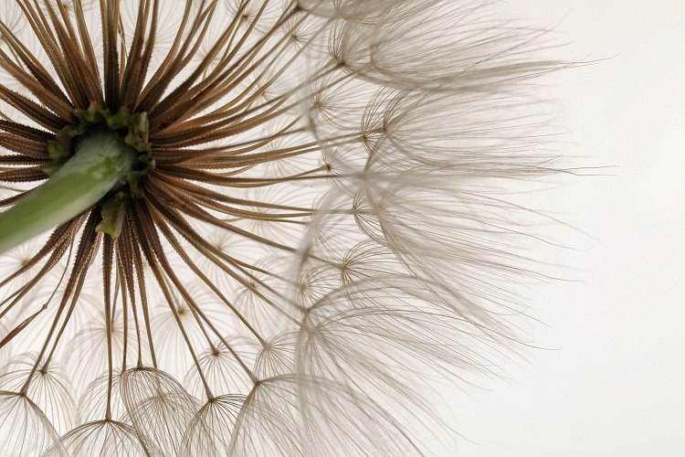 Фотообои 447893412