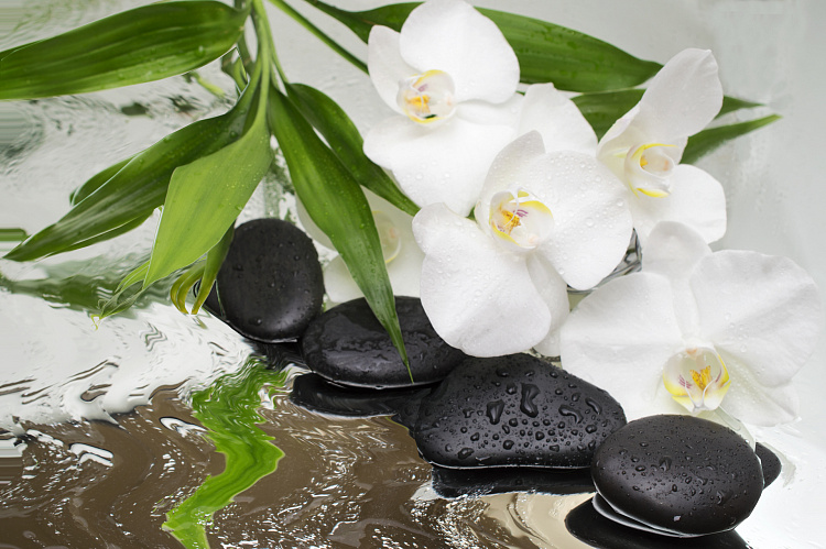 Фотообои 131118416