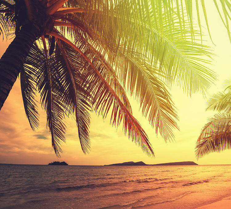 Фотообои 55493347