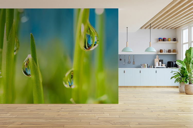 Фотообои 1711698379