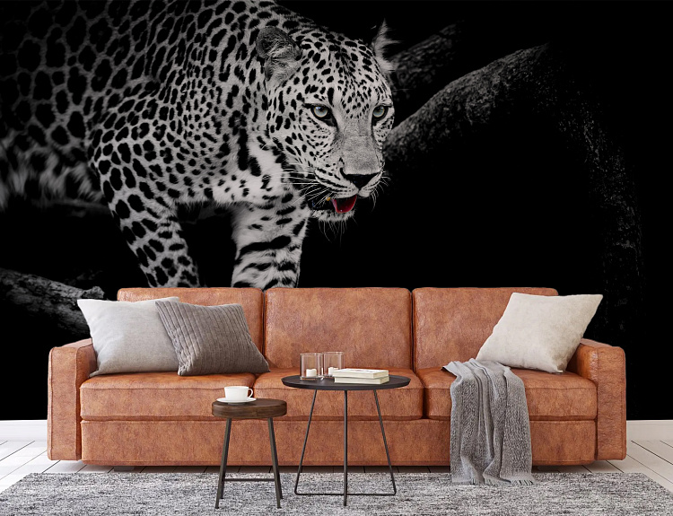 Фотообои 69706452