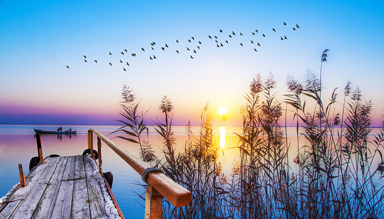 Фотообои 301415117